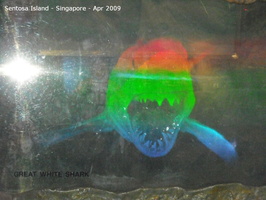 20090422 Singapore-Sentosa Island  26 of 38 